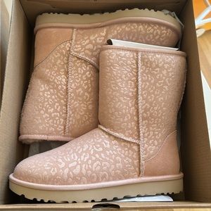 Brand new in box pink Uggs